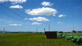 ▲「大圳郊遊線」走訪台南官田，體驗在地「齡感生活」（圖／主辦單位提供）