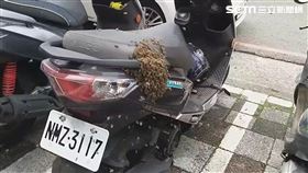 台中豐原蜂群停機車上，車主嚇傻。（圖／民眾提供）
