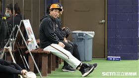 ▲統一獅總教練林岳平。（圖／記者劉彥池攝影）