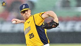 ▲中信兄弟Teddy Stankiewicz（泰迪）。（圖／中信兄弟球團提供）