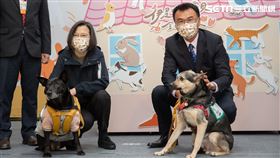 蔡英文出席「農委會寵物管理科動起來啟用儀式」暨參訪「2022城南有意思之春日好好市集」（圖／總統府提供）