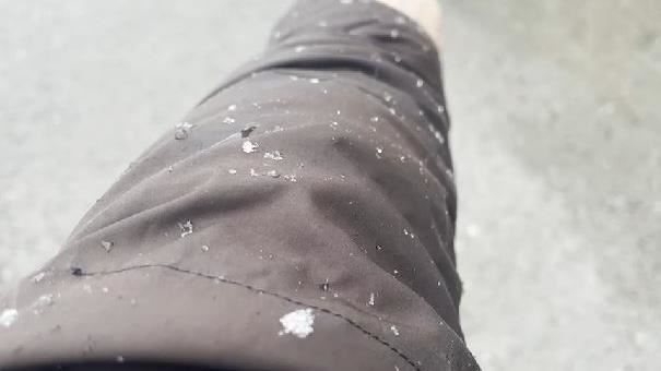 新／合歡山飄雪　松雪樓夢幻雪景曝光