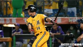 台灣大賽,王勝偉（圖／記者林敬旻攝）