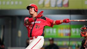 ▲味全龍林智勝擊出290轟破台灣紀錄。（圖／味全龍球團提供）