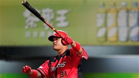 ▲味全龍林智勝擊出290轟破台灣紀錄。（圖／味全龍球團提供）