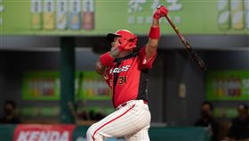 ▲味全龍林智勝擊出291轟。（圖／味全龍球團提供）