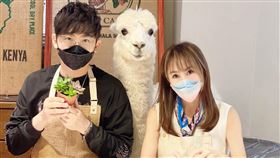 王宥忻/固力狗娛樂提供