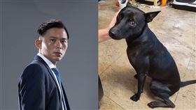 黃國昌(左)、愛犬巧虎(右)（圖／翻攝自黃國昌臉書）