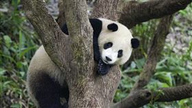 圖／動物園提供