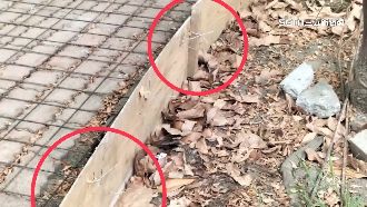 工地大盜拔走1百根鋼筋　賤賣8百元