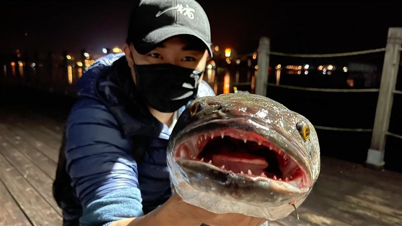 日月潭「湖中惡霸」！尖牙利齒超驚人
