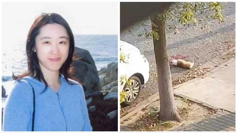 上海防疫失序　菁英慘死、寵物遭處決