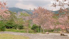 寶來花賞溫泉，記者劉沛妘攝影