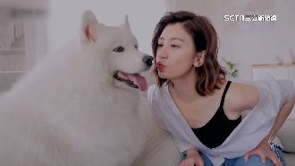 隔20年！雙金影后賈靜雯為內衣站台