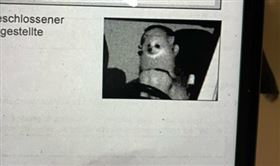 他超速被拍…收2千元罰單！一看照片傻眼：狗狗開的（圖／翻攝自
Don Kylian推特）