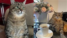 Stepan。（圖／翻攝自《loveyoustepan》IG）