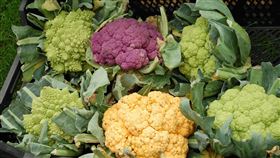 十字花科蔬菜，花椰菜 (圖／PIXABAY)