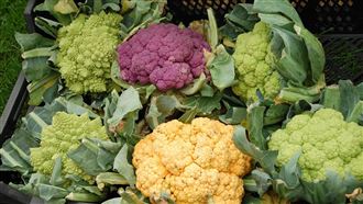 性病竟長在「鼻孔」裡？泌尿醫：我也怕爆