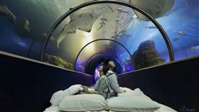 與魚共眠  澎湖水族館推夜宿體驗（1）澎湖水族館推出「與魚共眠」體驗活動，民眾夜訪水族館，宛如置身在海底，享受與魚兒共眠的海底世界。（澎湖水族館提供）中央社  111年4月11日