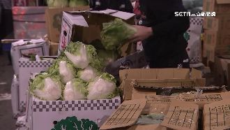 山陀兒灰飛湮滅　北農批發蔬果價平均上漲