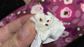 煙甲蟲,擴香,芳香劑(翻攝自 爆怨2公社)