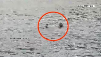 賞鯨船繞龜山島　海中央突冒2顆人頭