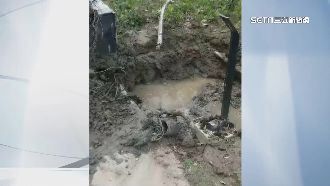 綠建築樹種不活　廠商控排水系統出包