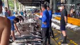 L排隊賣鮪魚1030