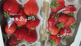 0412日本草莓