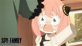  間諜家家酒。木棉花提供