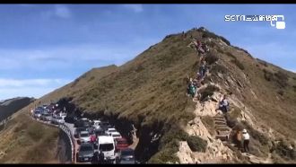 合歡山花期實施高乘載　苦到梨山居民