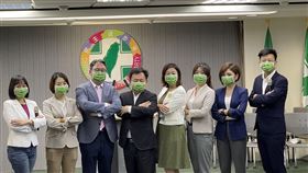 ▲新竹市議員李妍慧與其他黨員正式合體成為「民進黨發言人」（圖／相關單位提供）