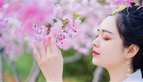 ▲才女。（示意圖／翻攝自百度百科）