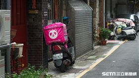 熊貓（陳弋攝影）