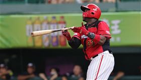 ▲味全龍新洋砲鈦龍棒打胡智為，中職首轟出爐。（圖／味全龍球團提供）