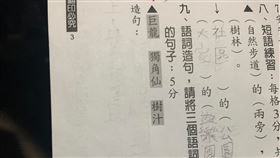 別教壞小孩！「巨龍、獨角仙、樹汁」造一句　老司機歪了。爆廢公社