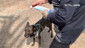 以為鄰居狗吠她！女持鐵條打傷阿婆