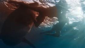 《鯊顫》。（圖／翻攝自威視YOUTUBE）