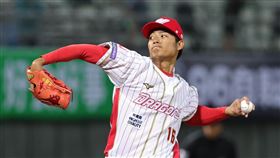 ▲味全龍王維中。（圖／味全龍球團提供）