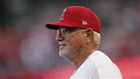 ▲洛杉磯天使總教練Joe Maddon。（資料照／美聯社／達志影像）