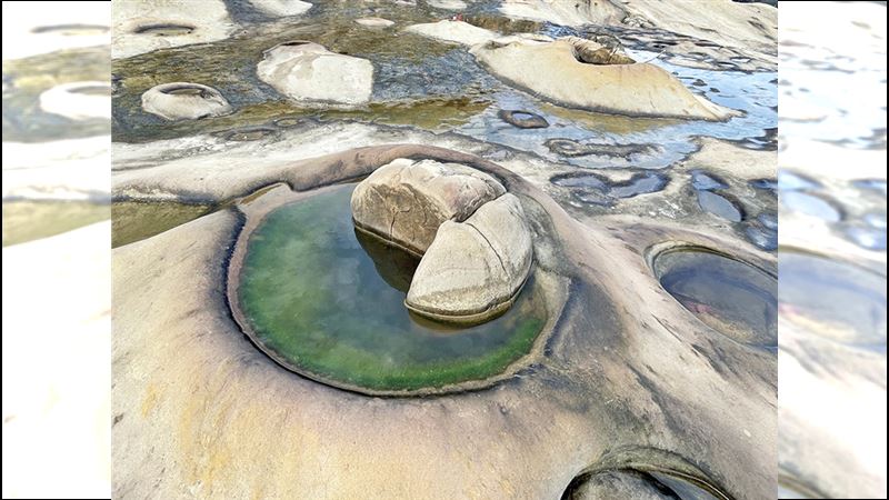 野柳女王祕密花園　神秘第3區曝光！