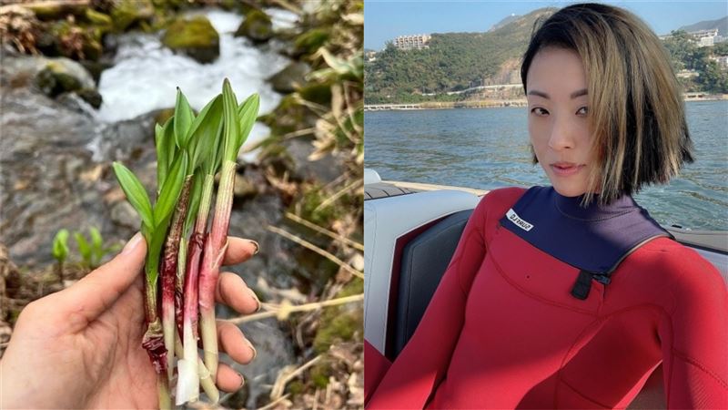 上海疫情爆發封城　天王嫂拔野菜吃