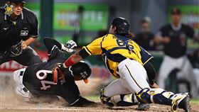 ▲獅象大戰12局下關鍵改判，雙方最後以和局結束比賽。(圖／擷取自兄弟官方頻道）