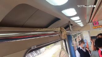 台鐵車廂竄1公尺大蛇　乘客嚇死了！
