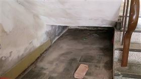 屍水,新竹,蓄水池,陳屍