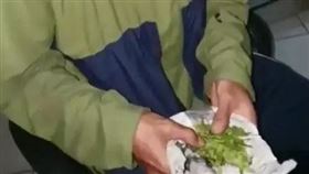 大麻,芹菜,網路,詐騙,印尼