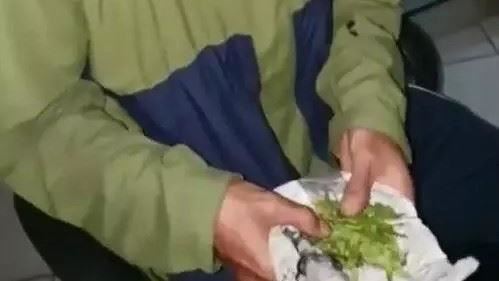男網購大麻竟收芹菜　報案訴苦警笑瘋