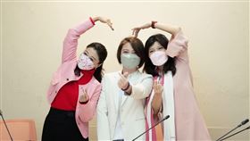 ▲林楚茵表示，林延鳳有豐富的政治幕僚經驗，服務市民多年（圖／相關單位提供）