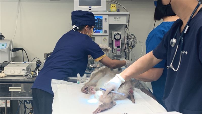 頑皮世界動物救傷中心　今成立揭牌！