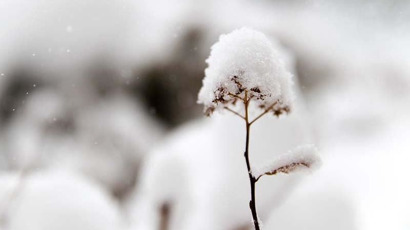 放下心中的重「我終於捨得讓雪落下」